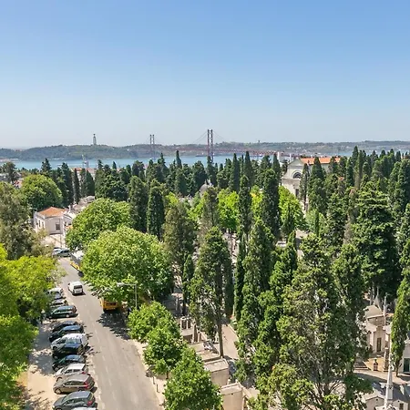 Spacious Campo D'ourique By Lisbeyond